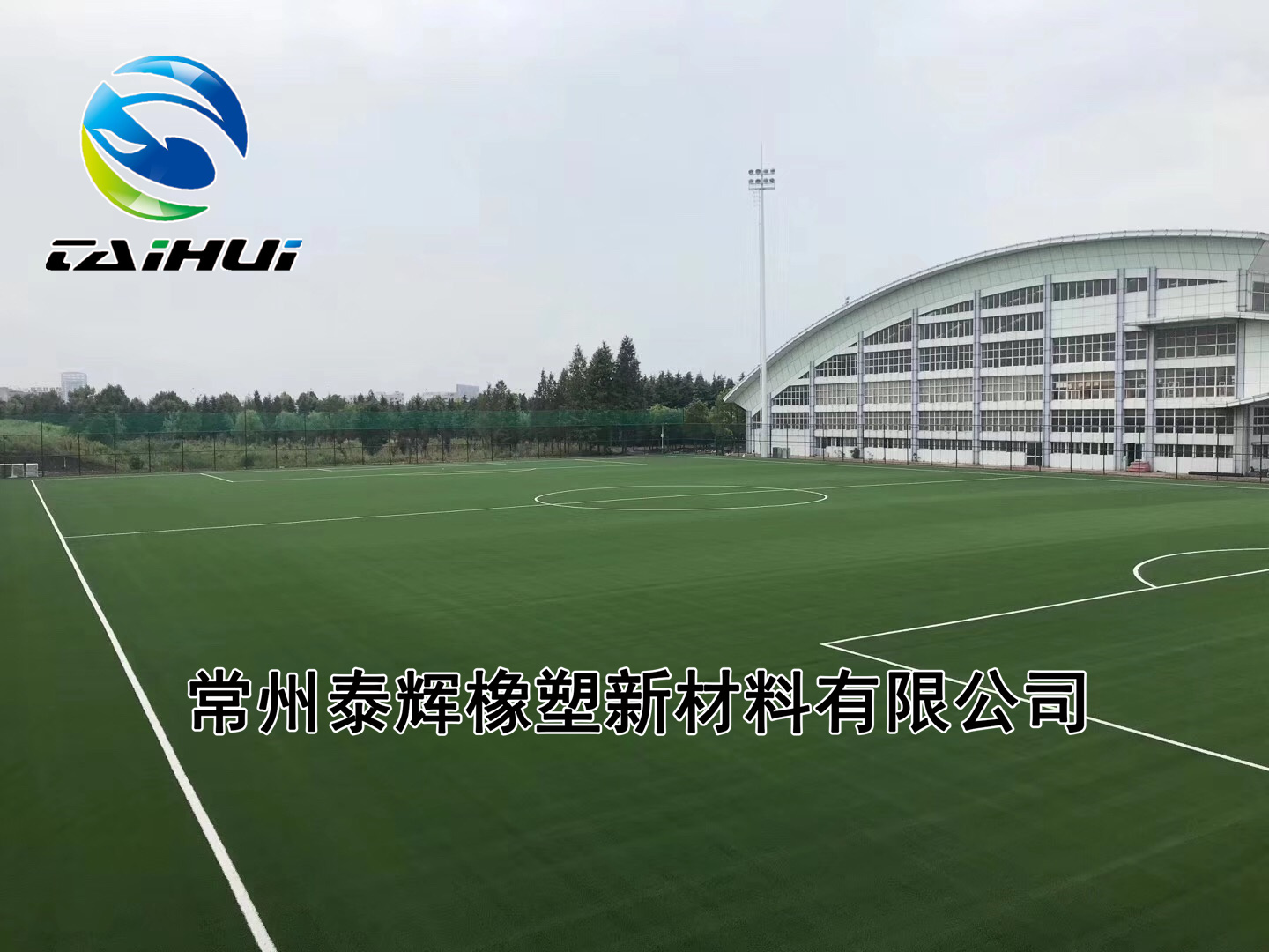 安徽师范大学（FIFA）