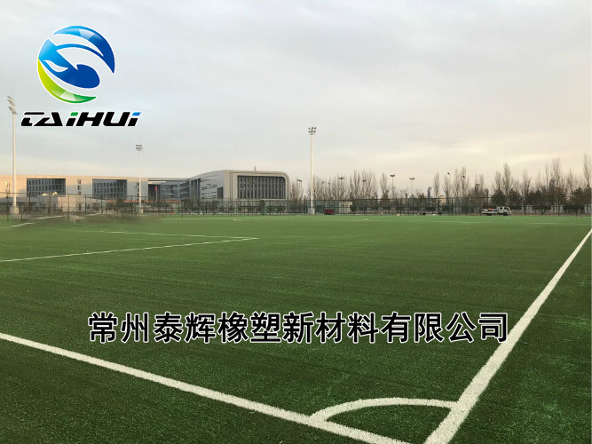 大同市体育学院 (FIFA)